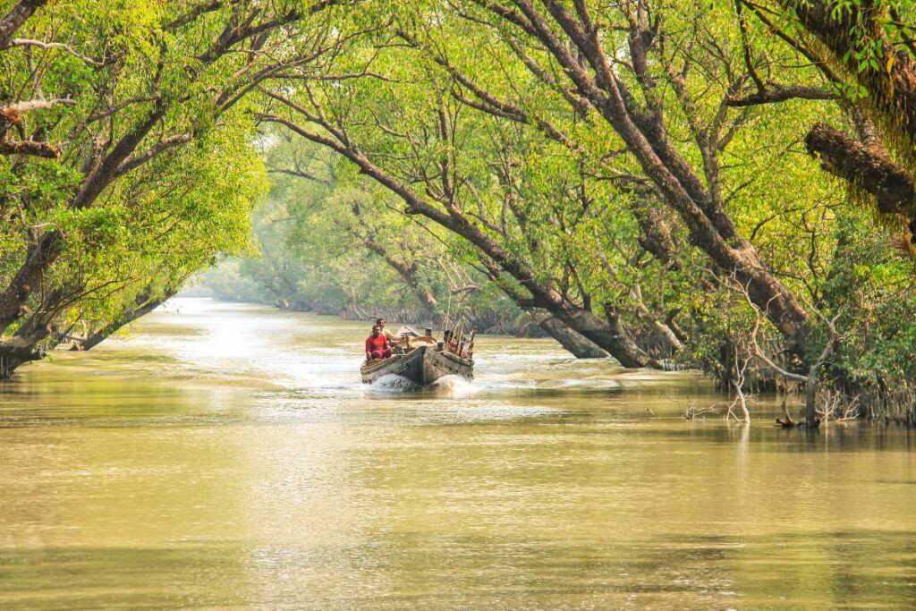 Sundarbans National Park, West Bengal