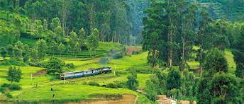 ooty, Tamilnadu